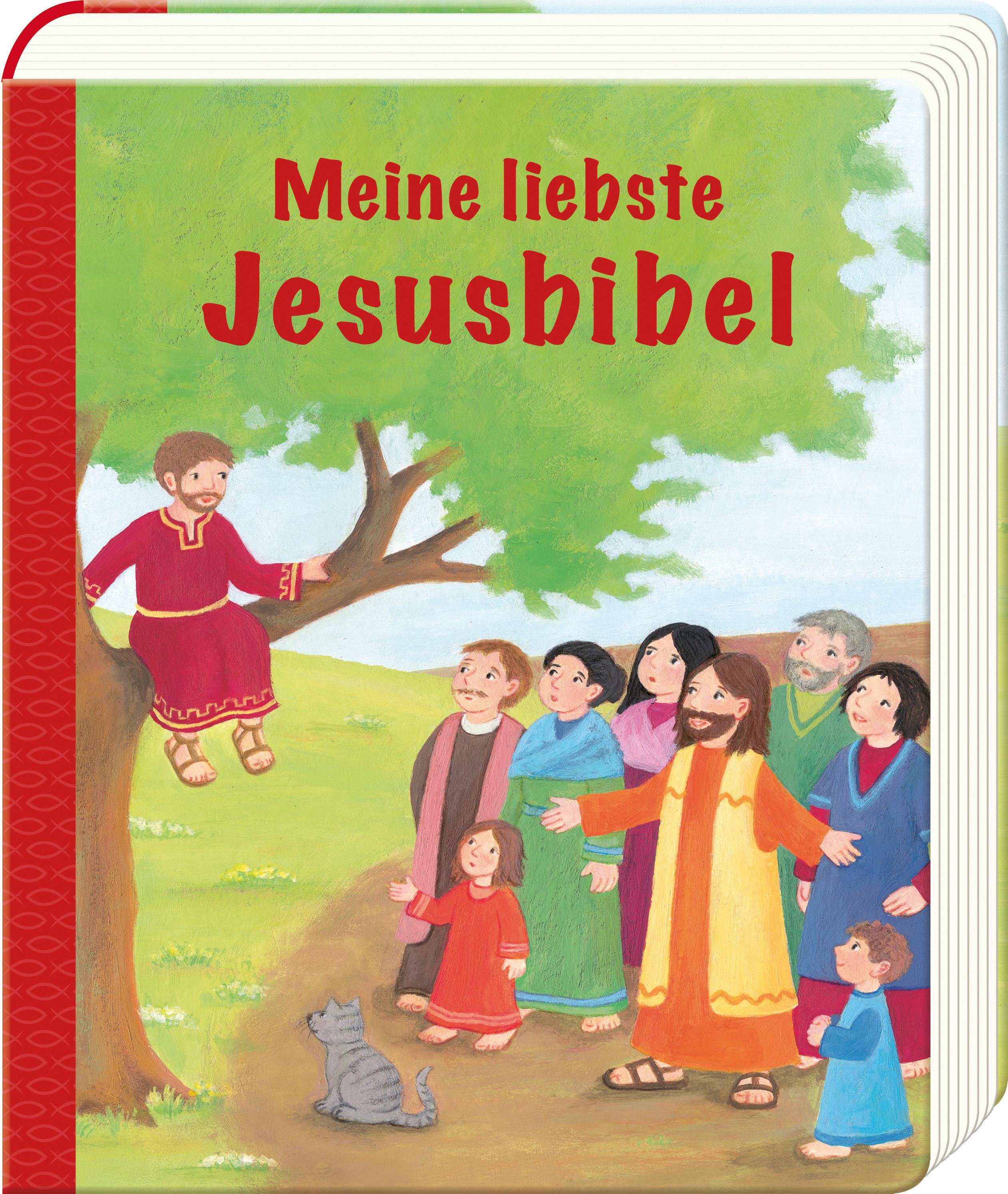 Vorderes Coverbild Meine liebste Jesusbibel