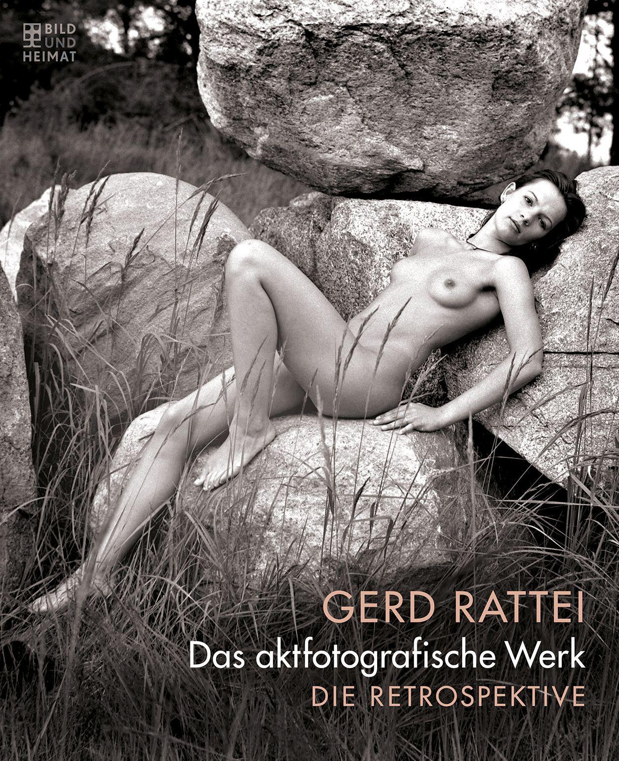 Vorderes Coverbild Die Retrospektive