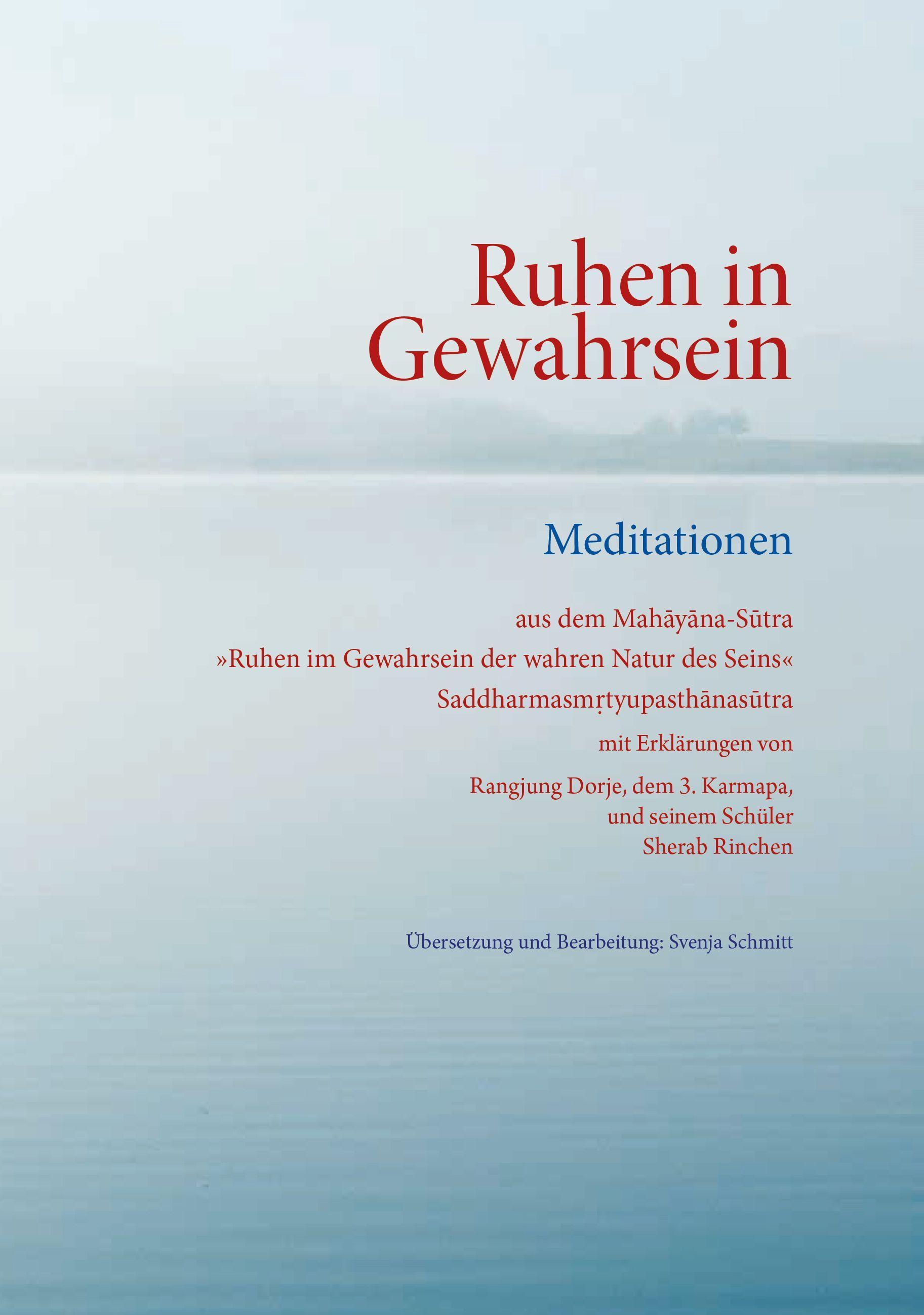 Vorderes Coverbild Ruhen in Gewahrsein