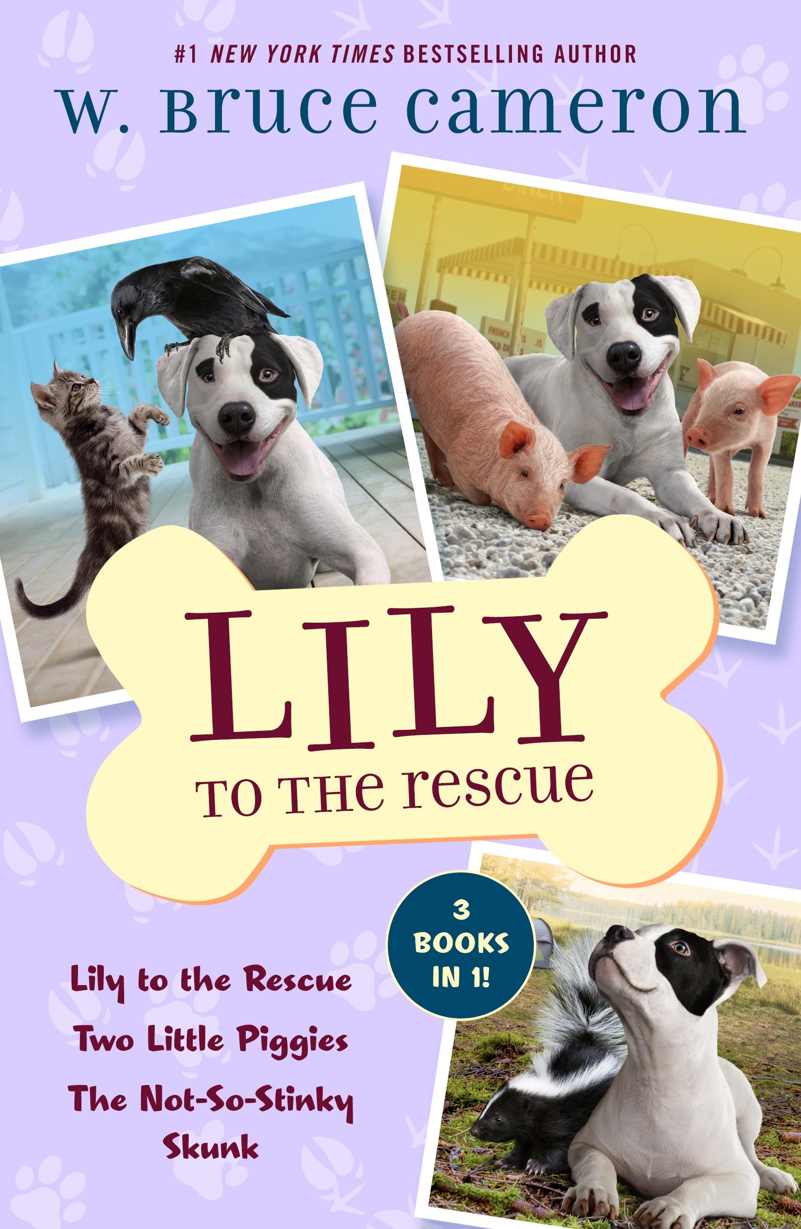 Vorderes Coverbild Lily to the Rescue Bind-Up Books 1-3