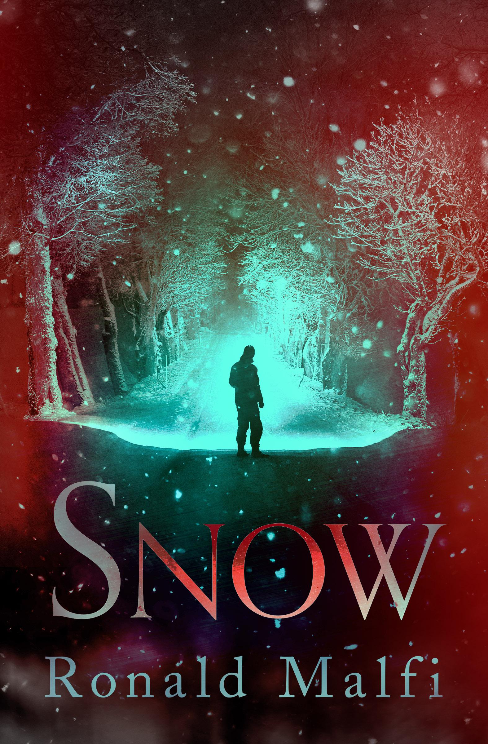 Vorderes Coverbild Snow