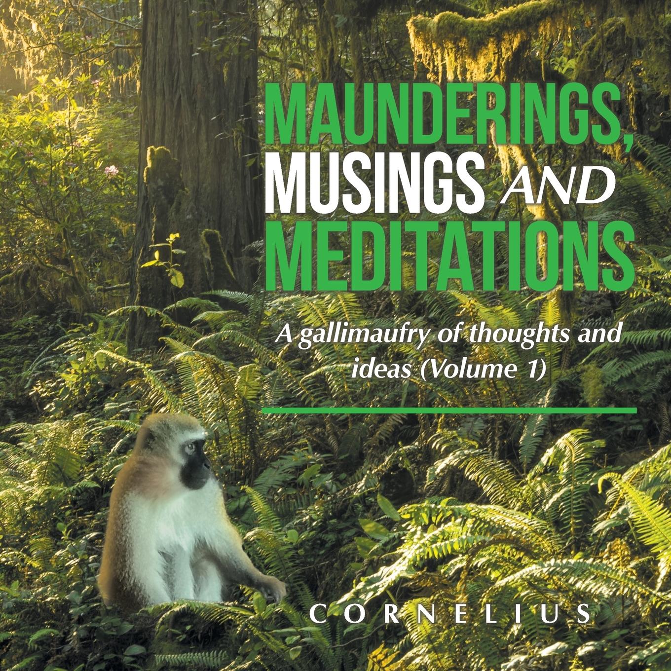 Vorderes Coverbild Maunderings, Musings and Meditations