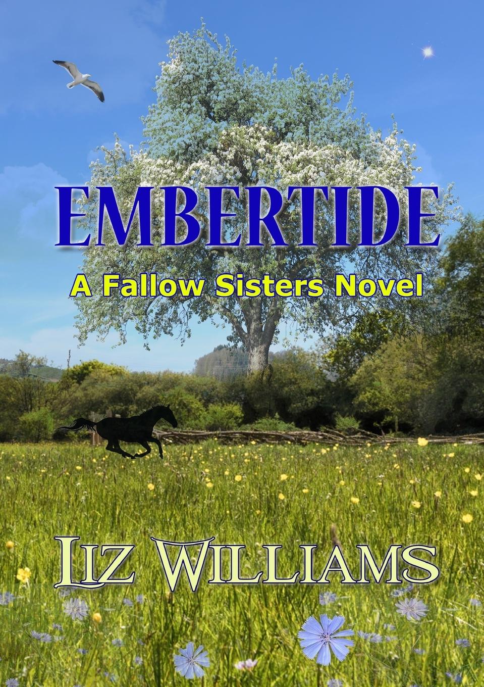 Vorderes Coverbild Embertide
