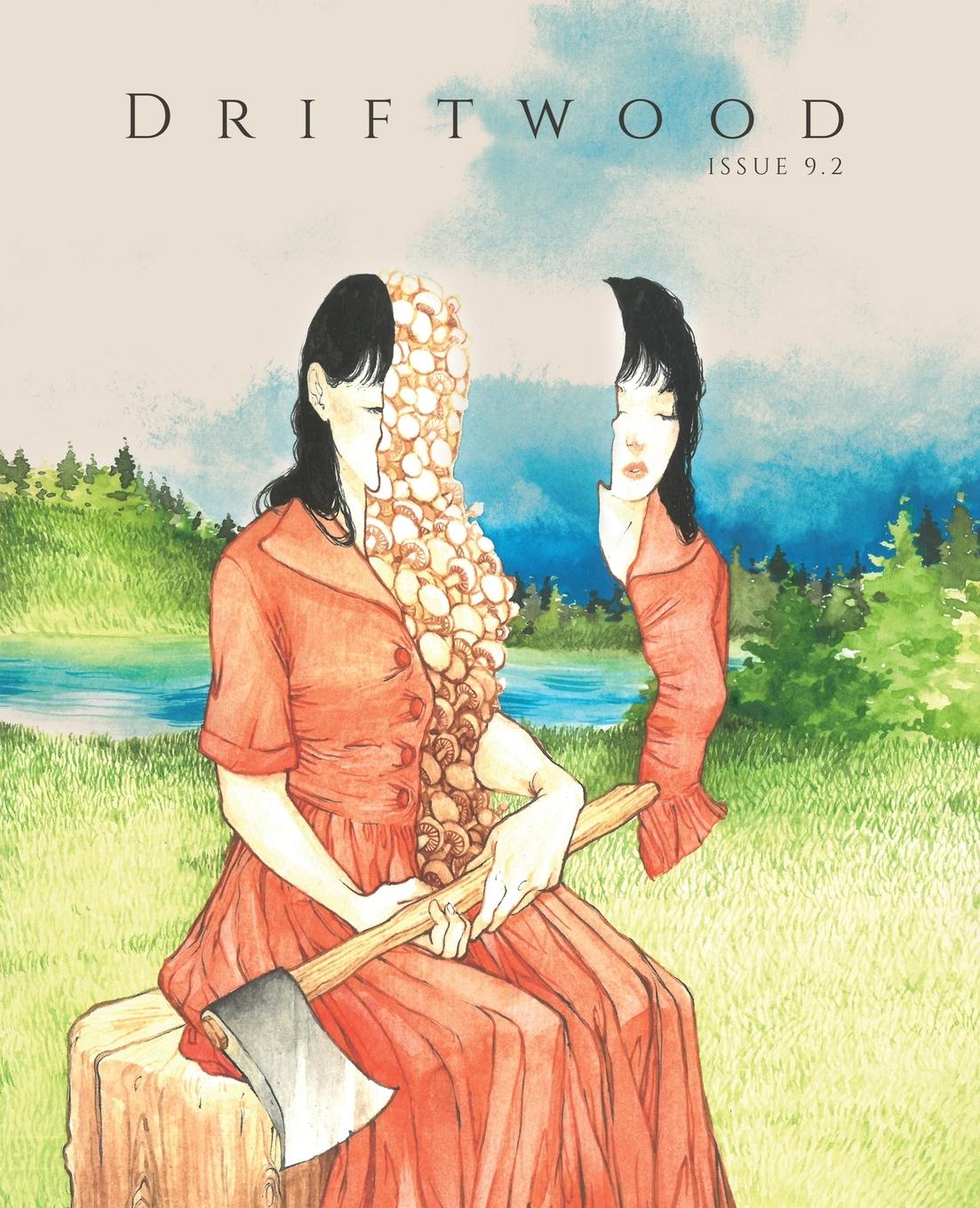 Vorderes Coverbild Driftwood Press 9.2