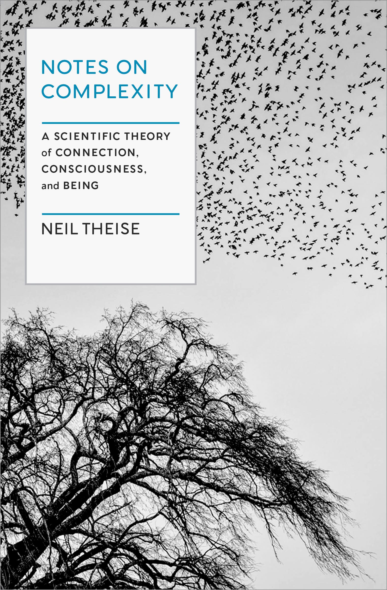 Vorderes Coverbild Notes on Complexity