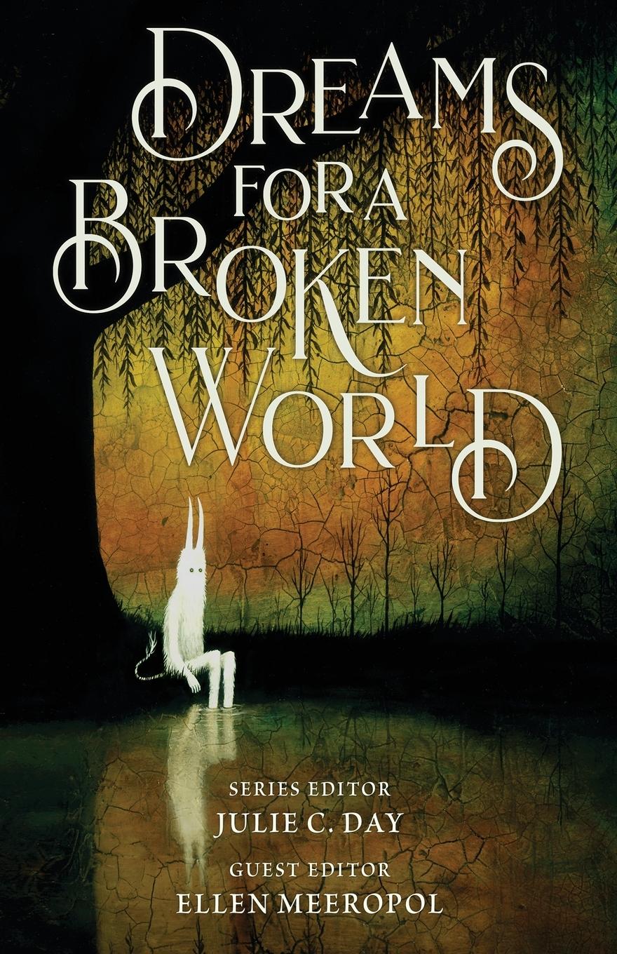 Vorderes Coverbild Dreams for a Broken World