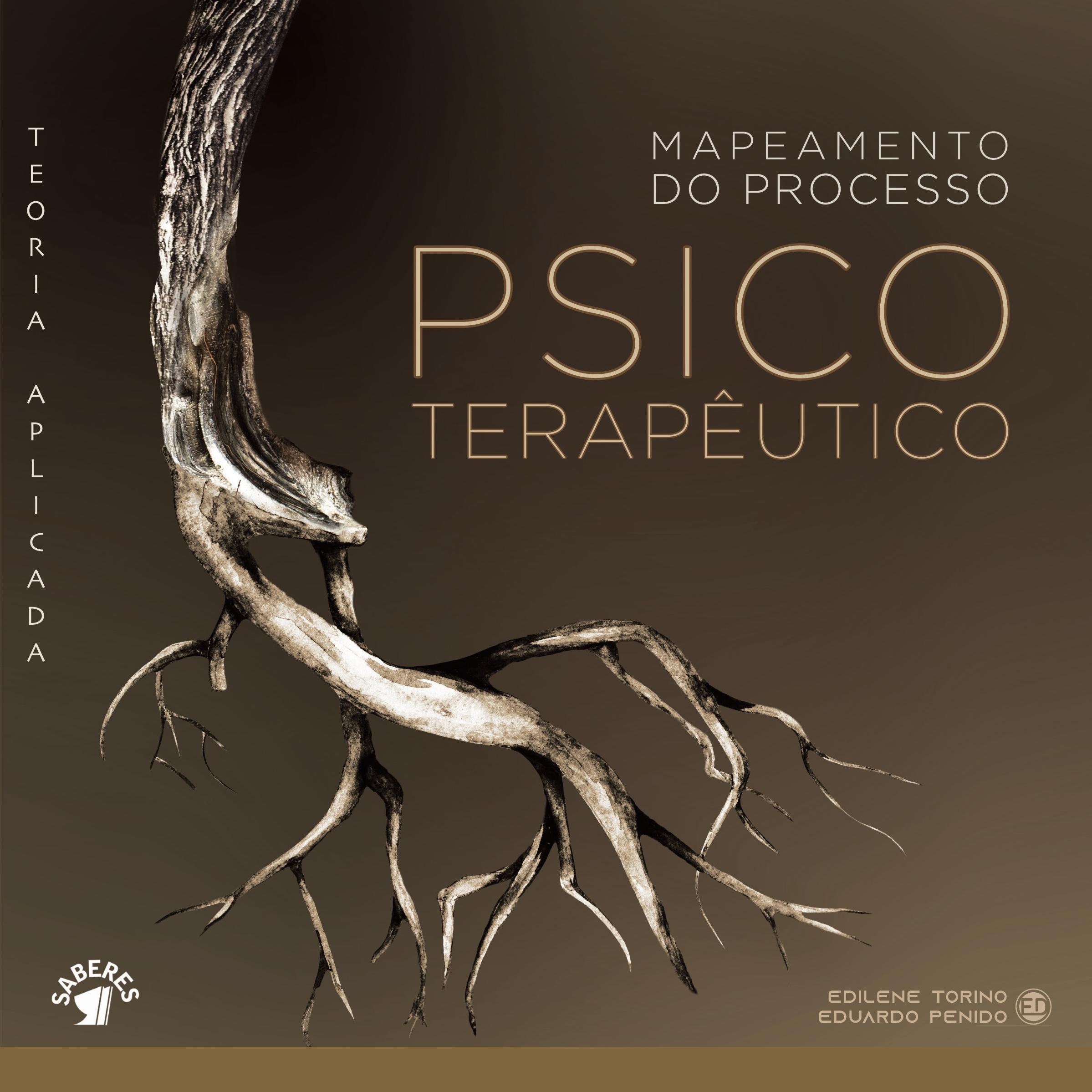Vorderes Coverbild Mapeamento do processo psicoterapêutico