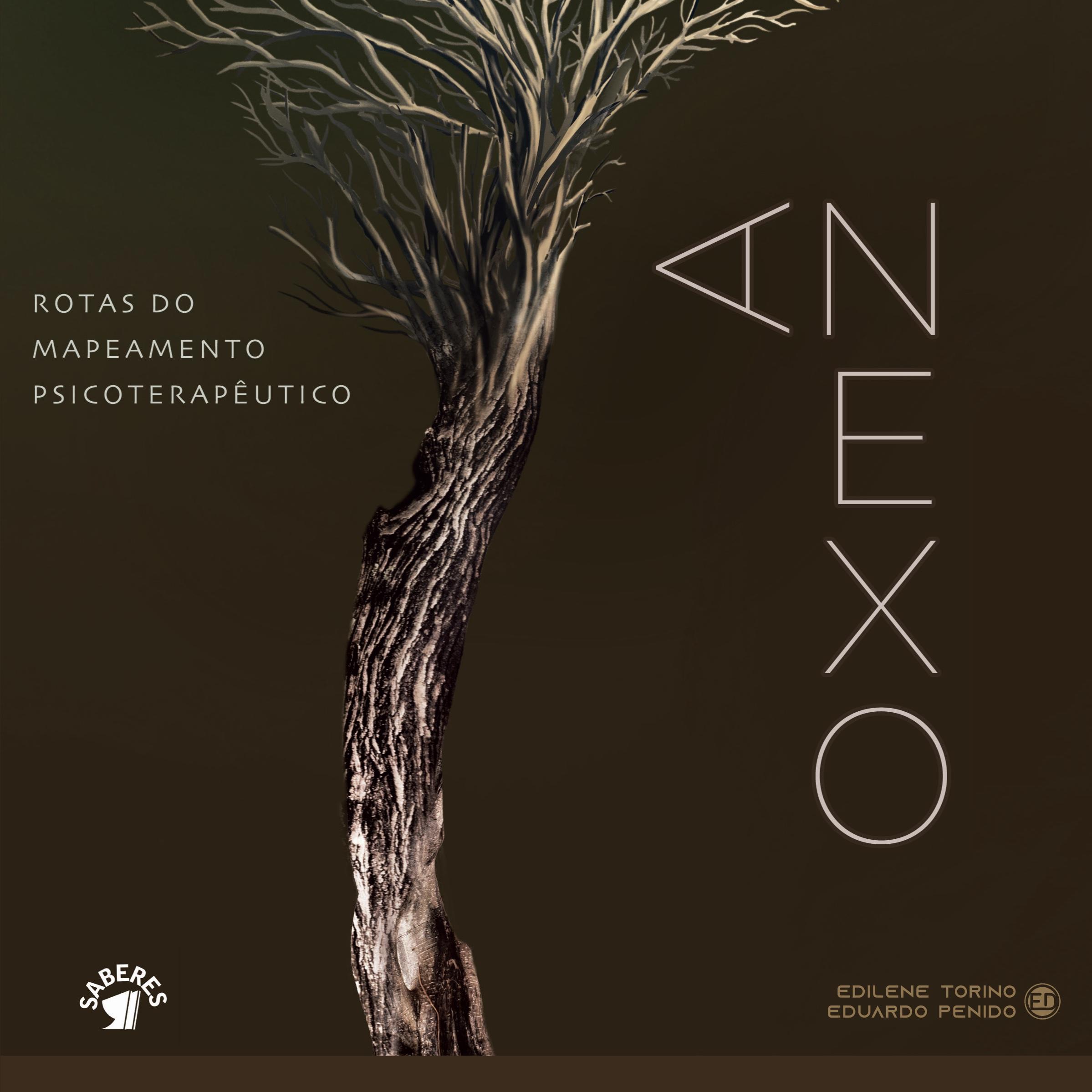 Vorderes Coverbild Anexo: Rotas do mapeamento psicoterapêutico