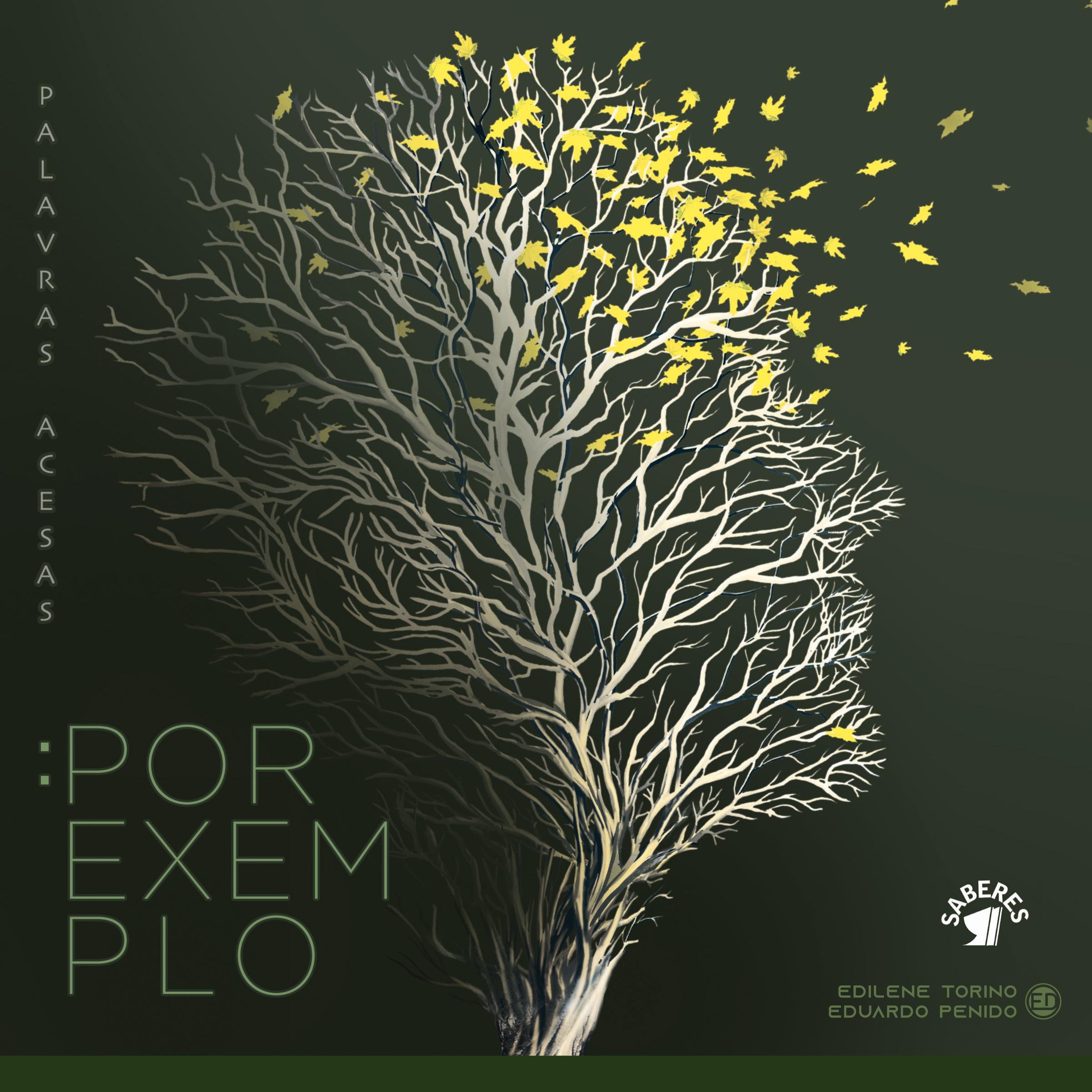 Vorderes Coverbild Por exemplo: Palavras acesas