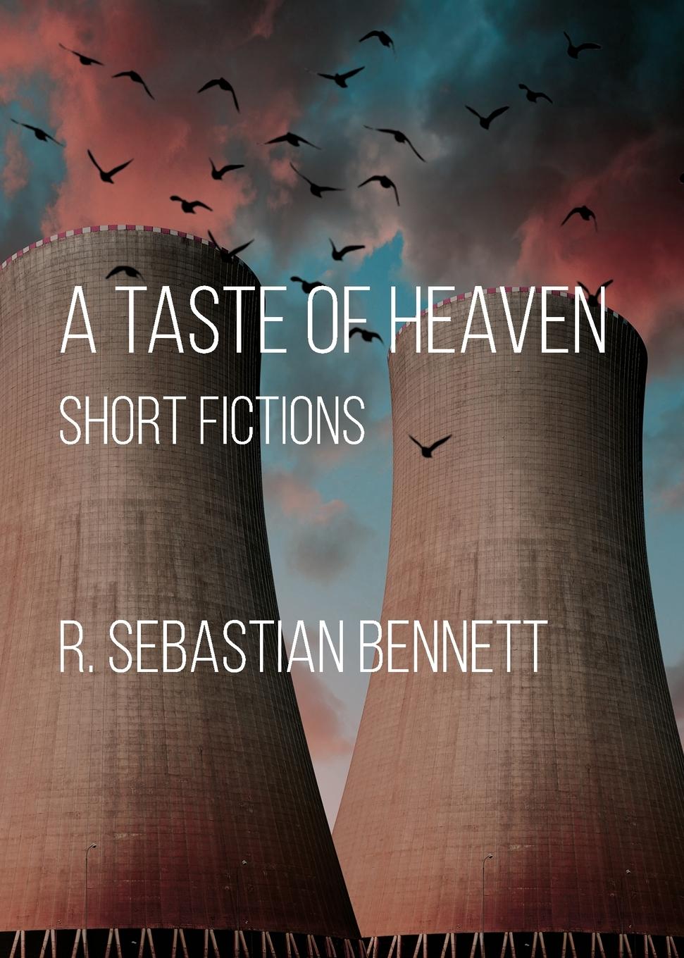 Vorderes Coverbild A Taste of Heaven