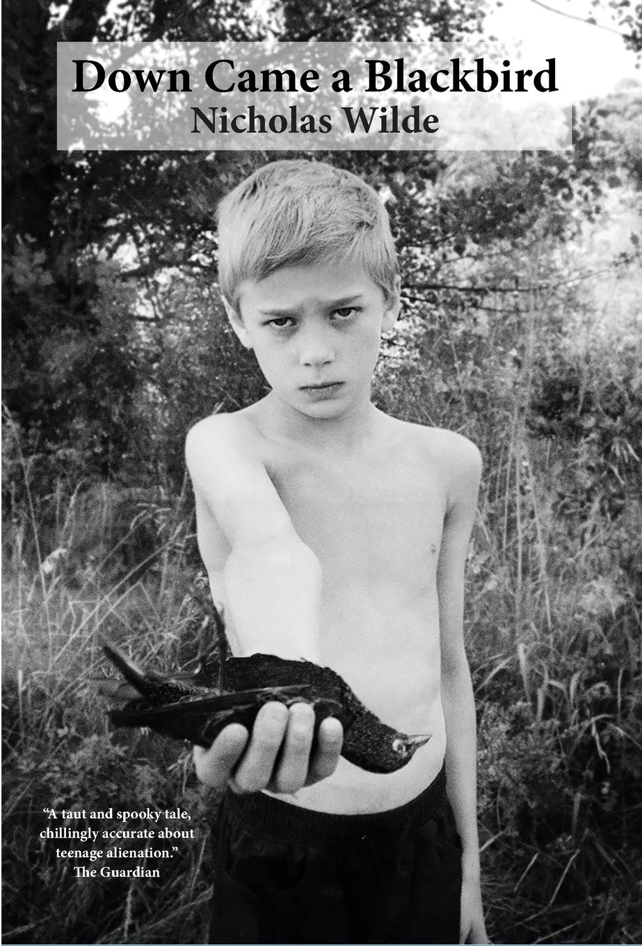 Vorderes Coverbild Down Came a Blackbird