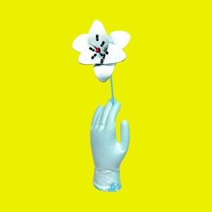 Vorderes Coverbild Auf Sand Gebaut