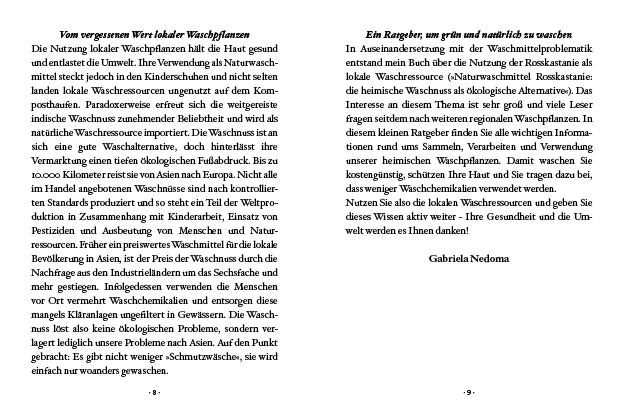 Beispielinhalt (Bild) Das große kleine Buch: Naturwaschmittel aus Wald und Wiese