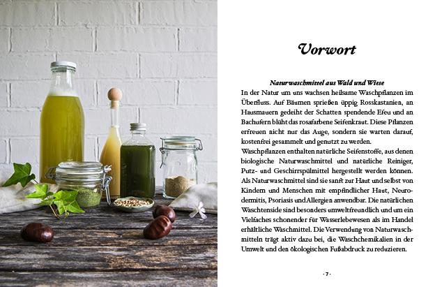 Beispielinhalt (Bild) Das große kleine Buch: Naturwaschmittel aus Wald und Wiese