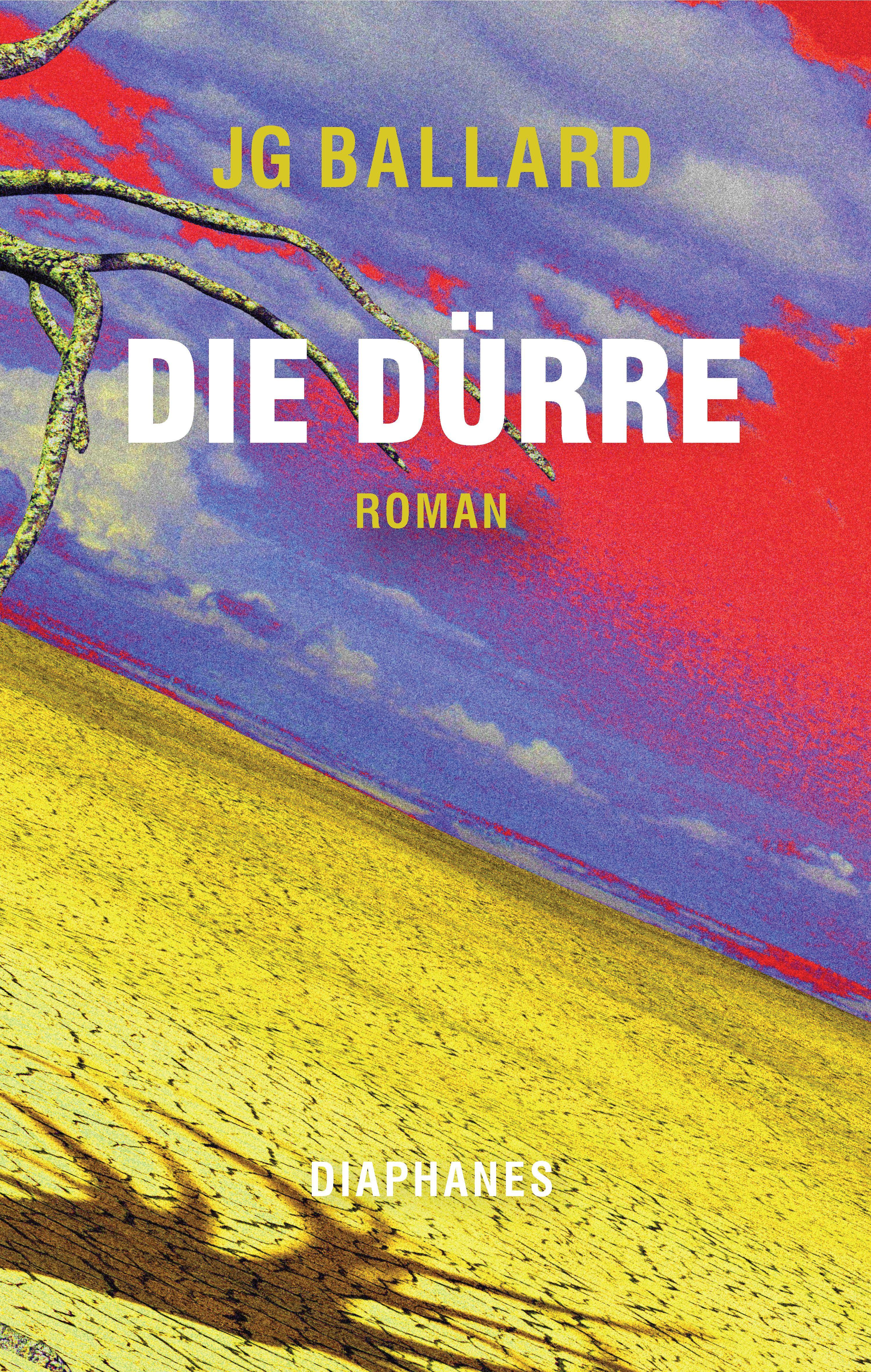 Vorderes Coverbild Die Dürre