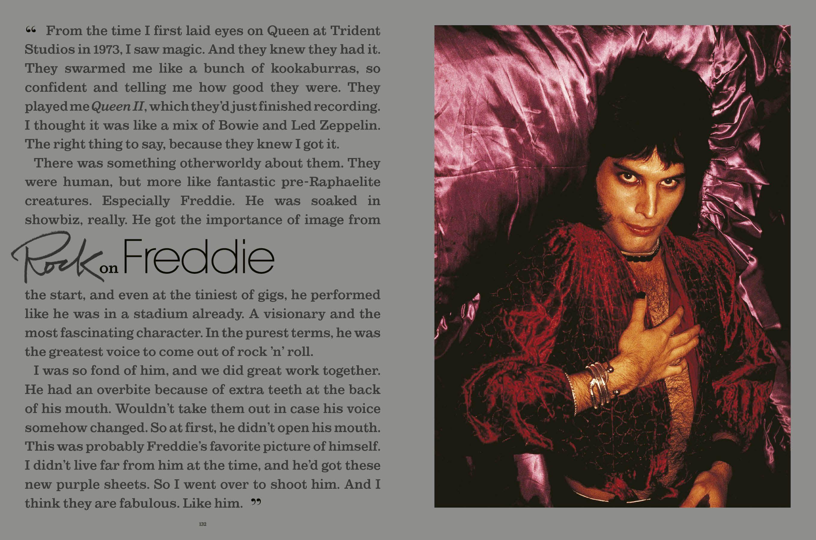 Beispielinhalt (Bild) Shot! by Rock