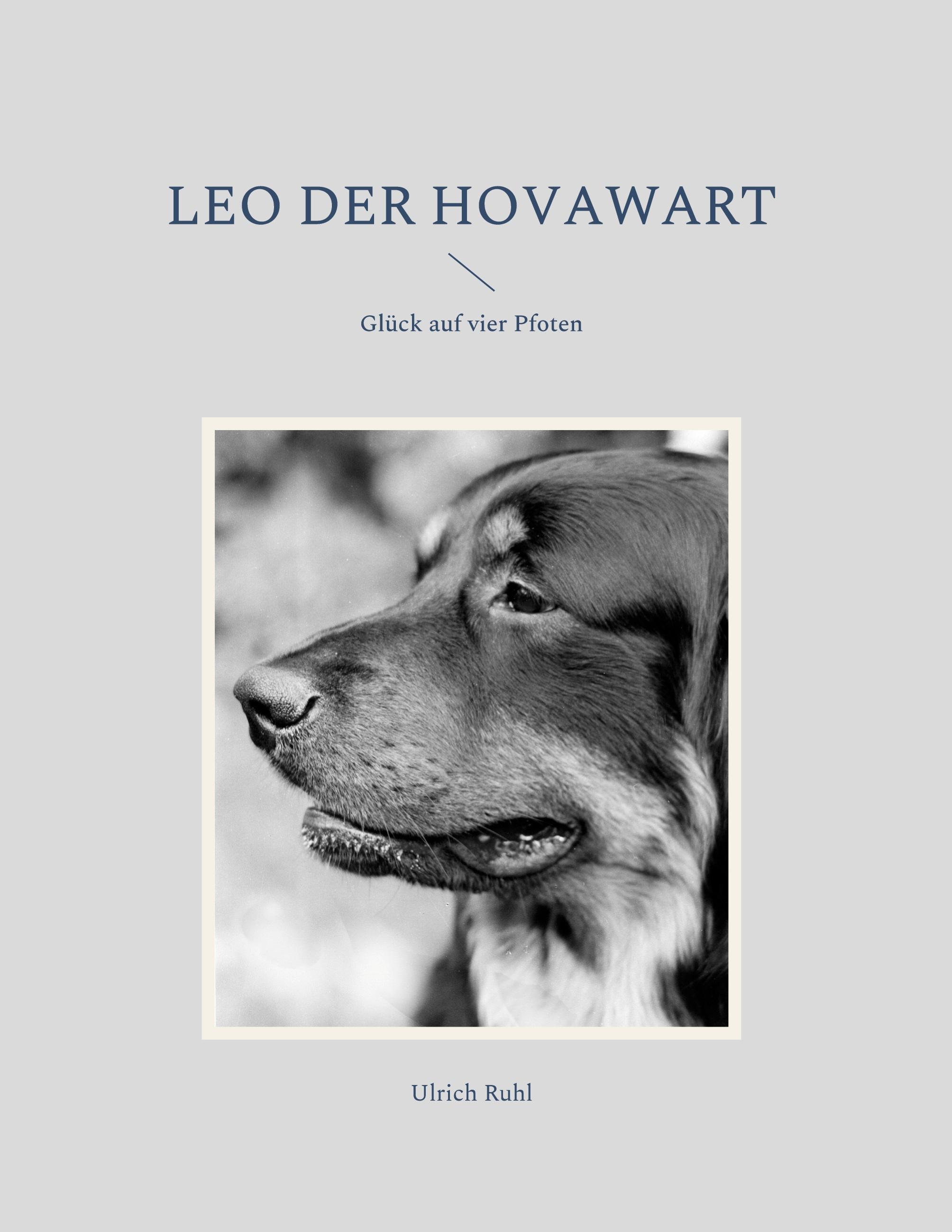 Vorderes Coverbild Leo der Hovawart