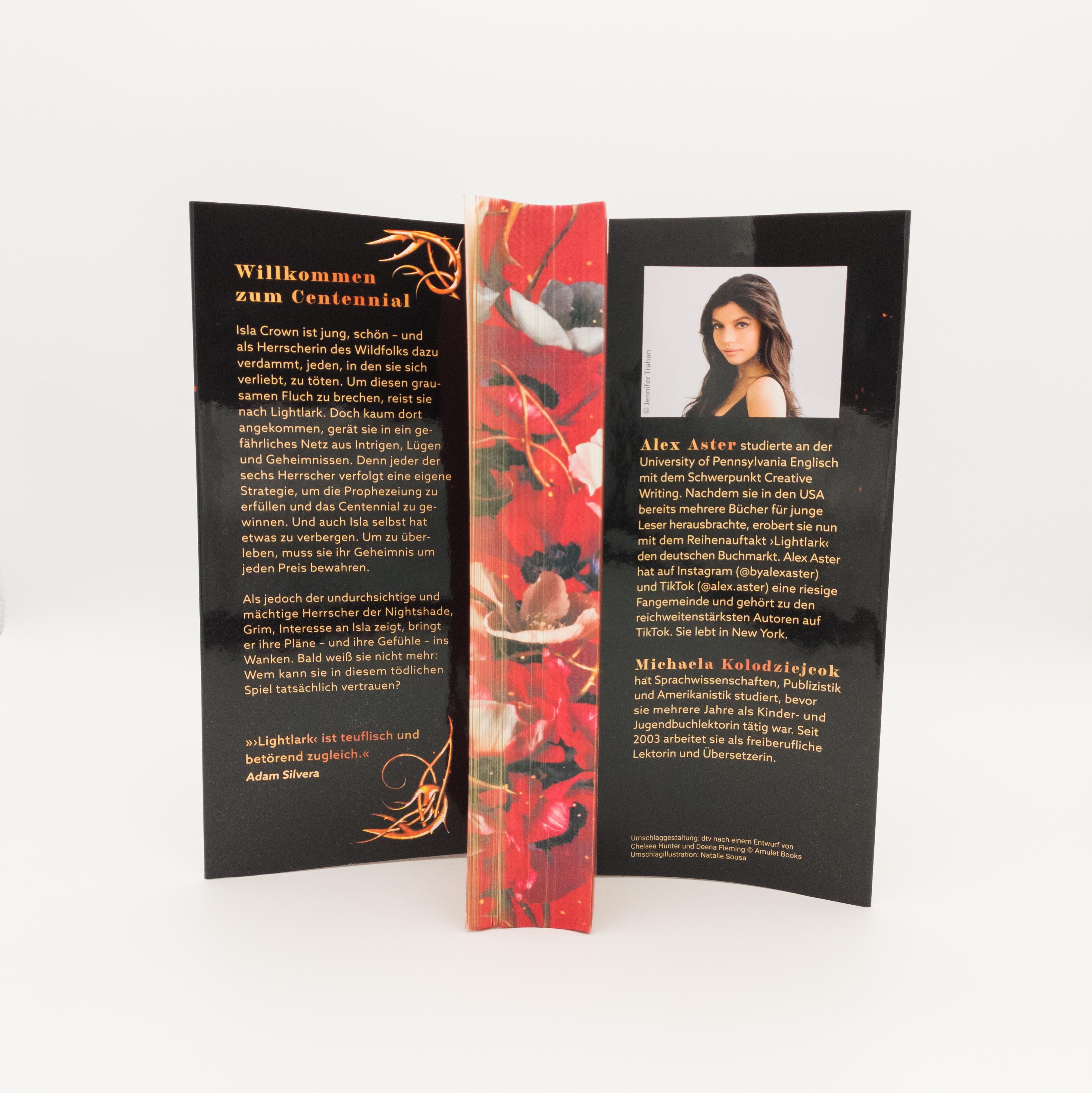 Beispielinhalt (Bild) Lightlark