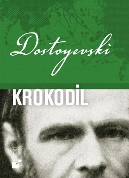 Vorderes Coverbild Krokodil - Ciltli