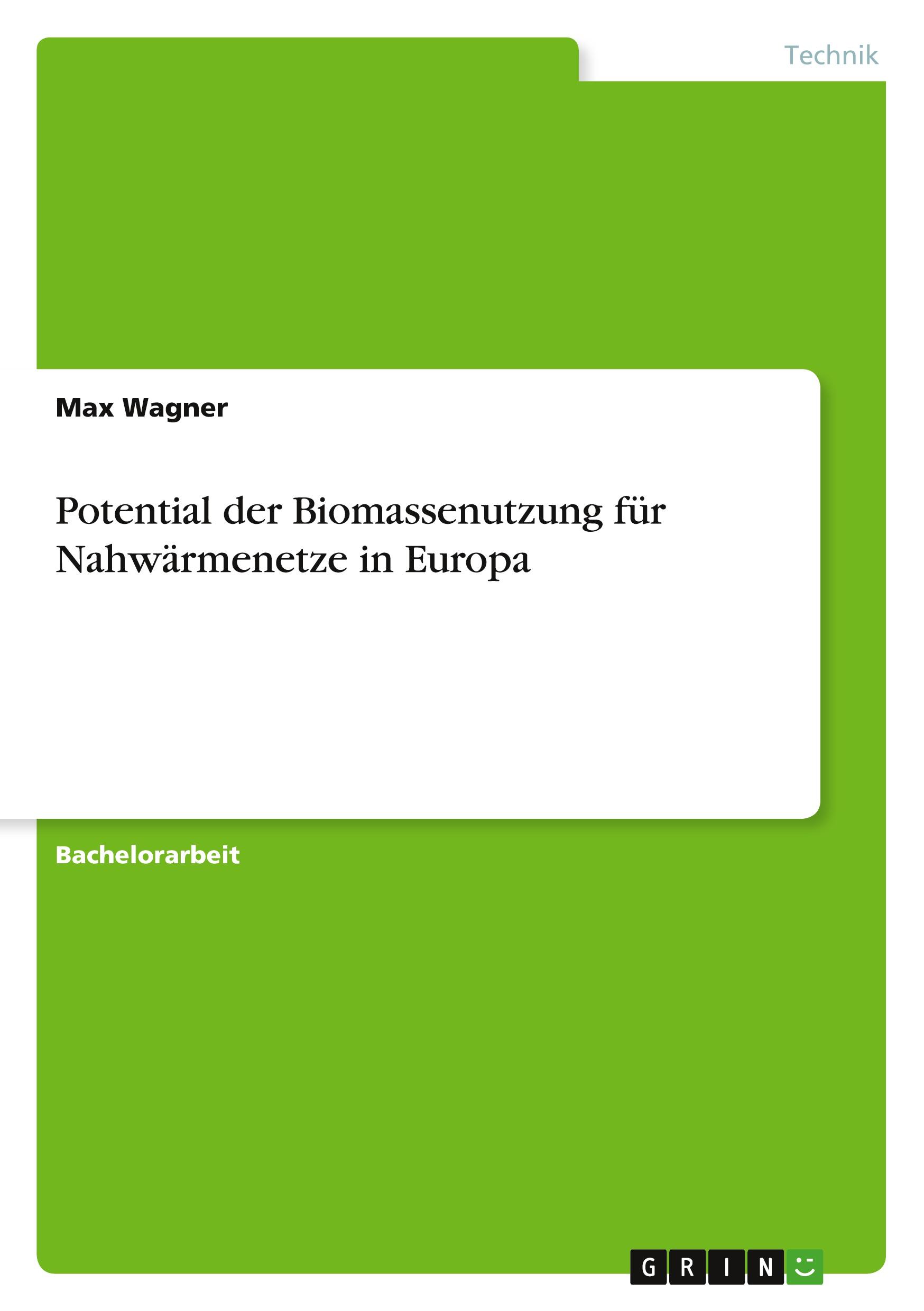 Vorderes Coverbild Potential der Biomassenutzung für Nahwärmenetze in Europa