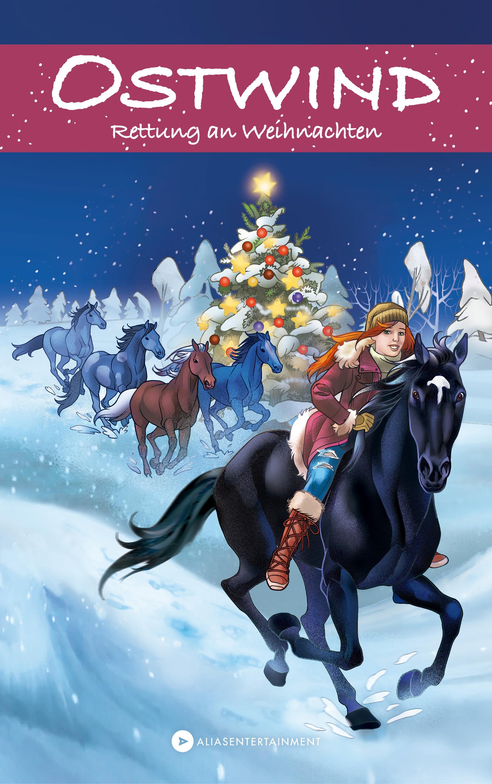 Vorderes Coverbild Ostwind - Rettung an Weihnachten