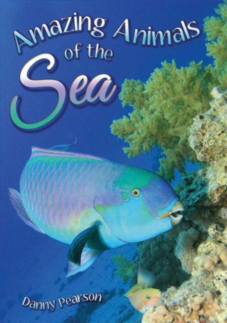 Vorderes Coverbild Amazing Animals of the Sea