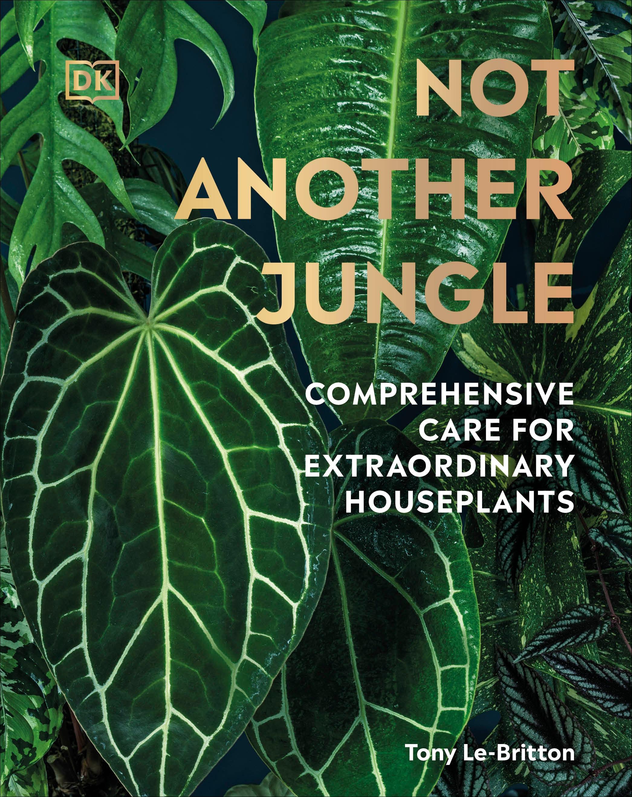 Vorderes Coverbild Not Another Jungle