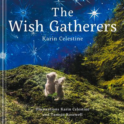 Vorderes Coverbild The Wish Gatherers
