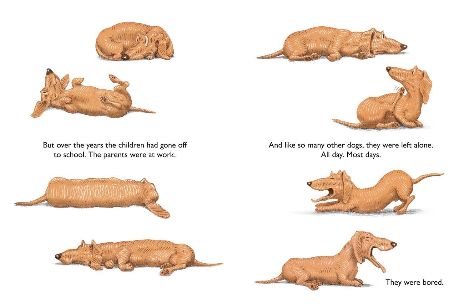 Beispielinhalt (Bild) Two Dogs