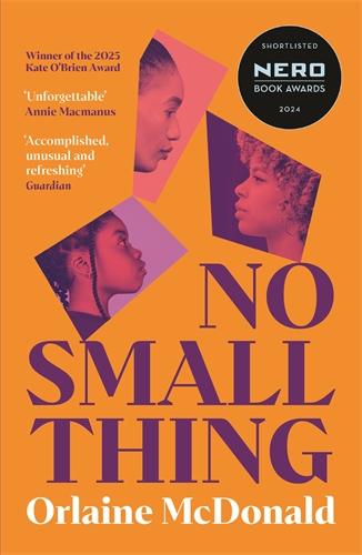 Vorderes Coverbild No Small Thing