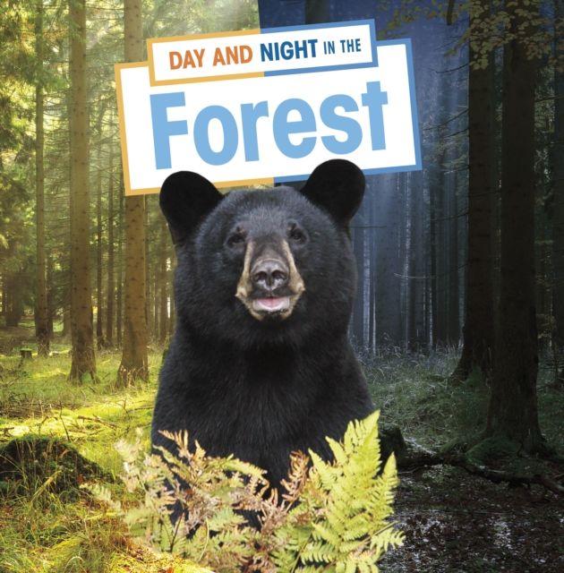 Vorderes Coverbild Day and Night in the Forest