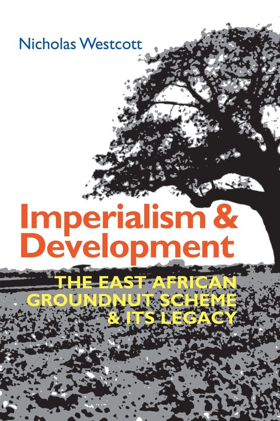 Vorderes Coverbild Imperialism and Development