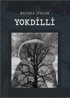Vorderes Coverbild Yokdilli