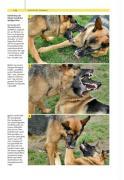 Beispielinhalt (Bild) Ausdrucksverhalten beim Hund