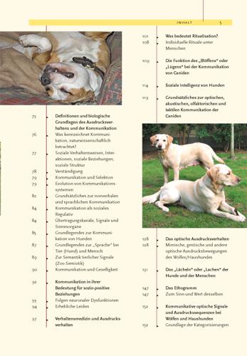 Beispielinhalt (Bild) Ausdrucksverhalten beim Hund