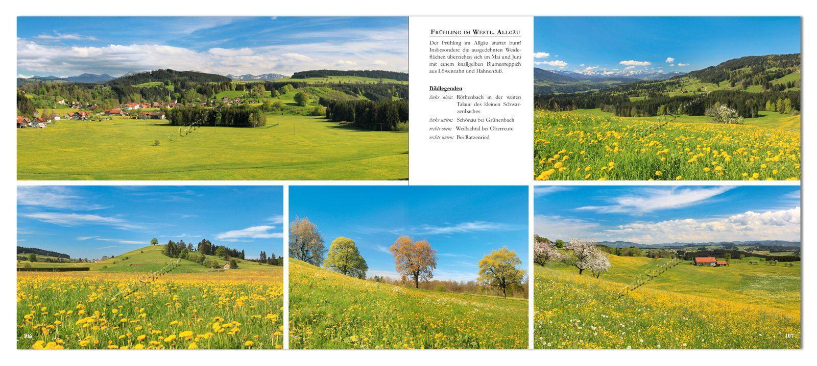 Beispielinhalt (Bild) Allgäu
