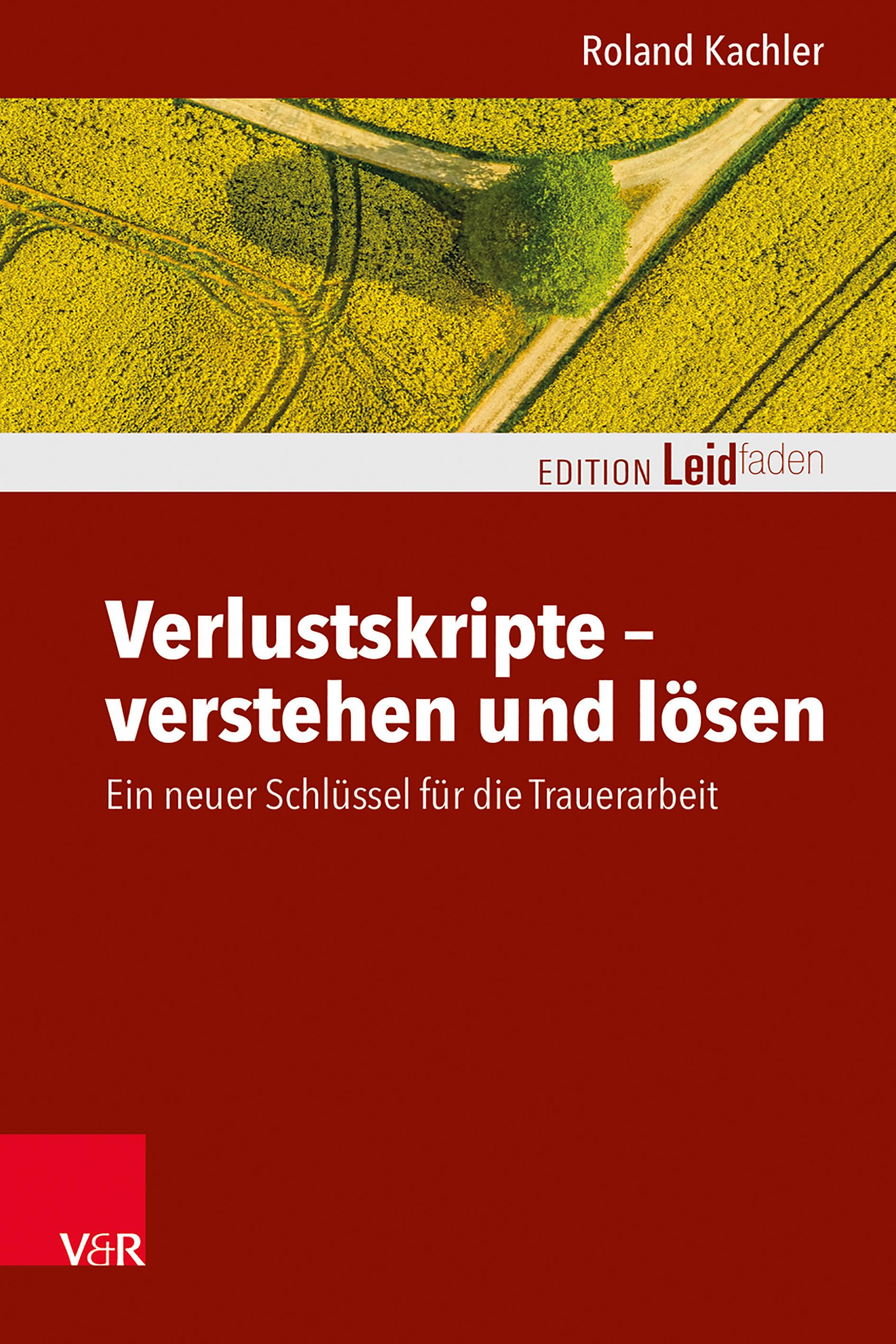 Vorderes Coverbild Verlustskripte - verstehen und lösen