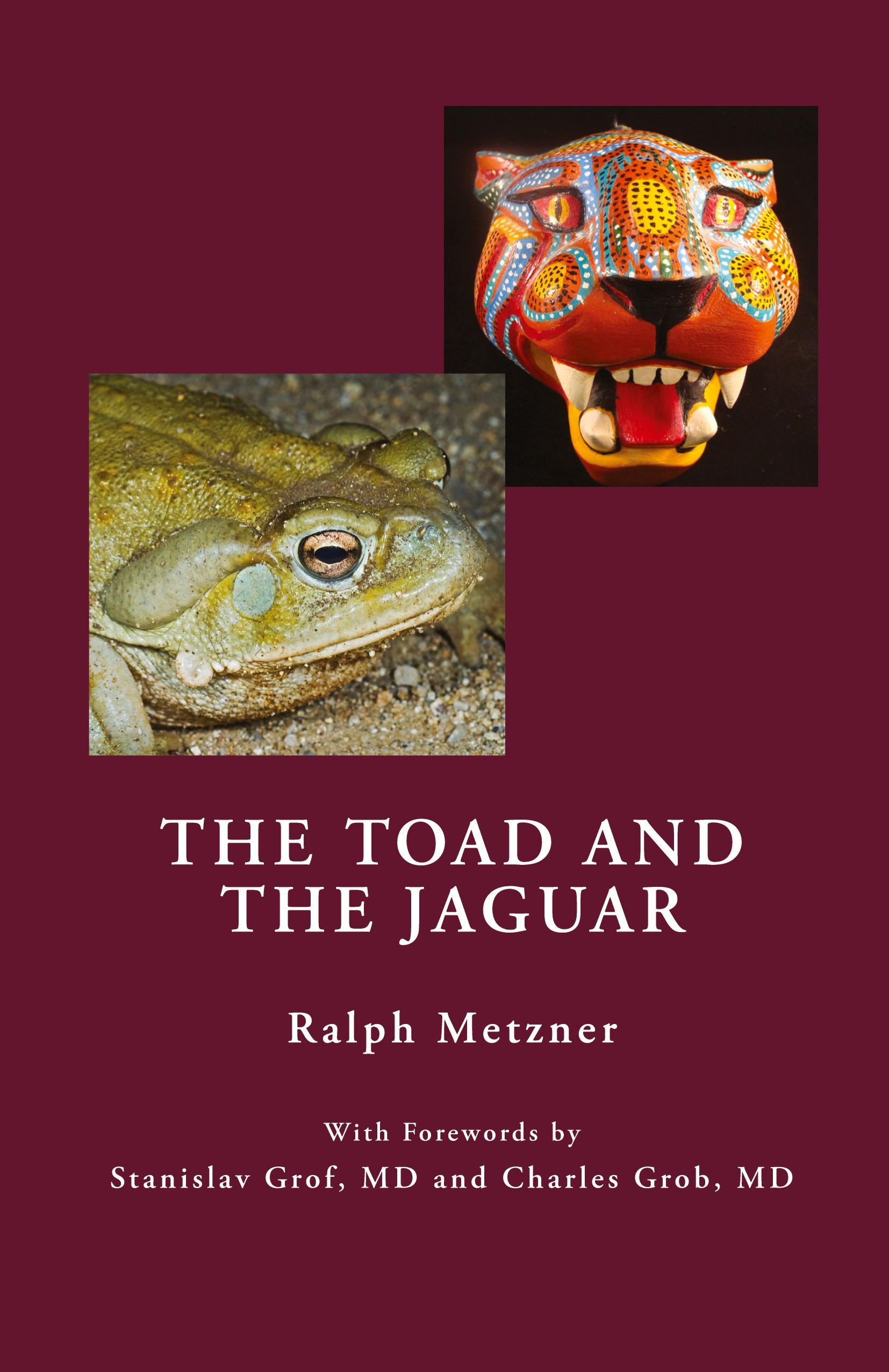 Vorderes Coverbild The Toad and the Jaguar