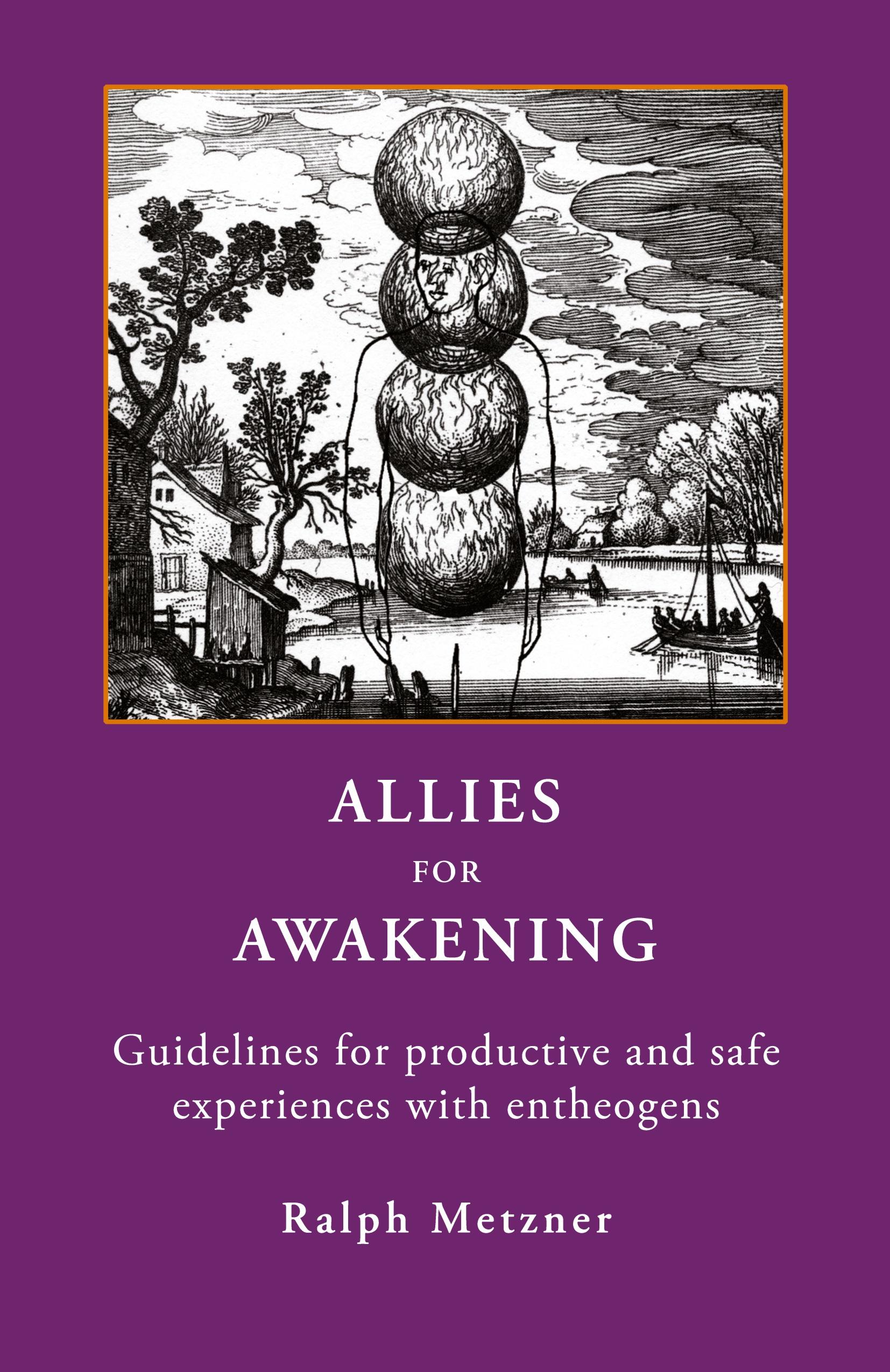 Vorderes Coverbild ALLIES FOR AWAKENING