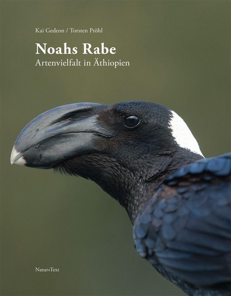 Vorderes Coverbild Noahs Rabe