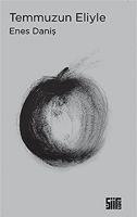 Vorderes Coverbild Temmuzun Eliyle