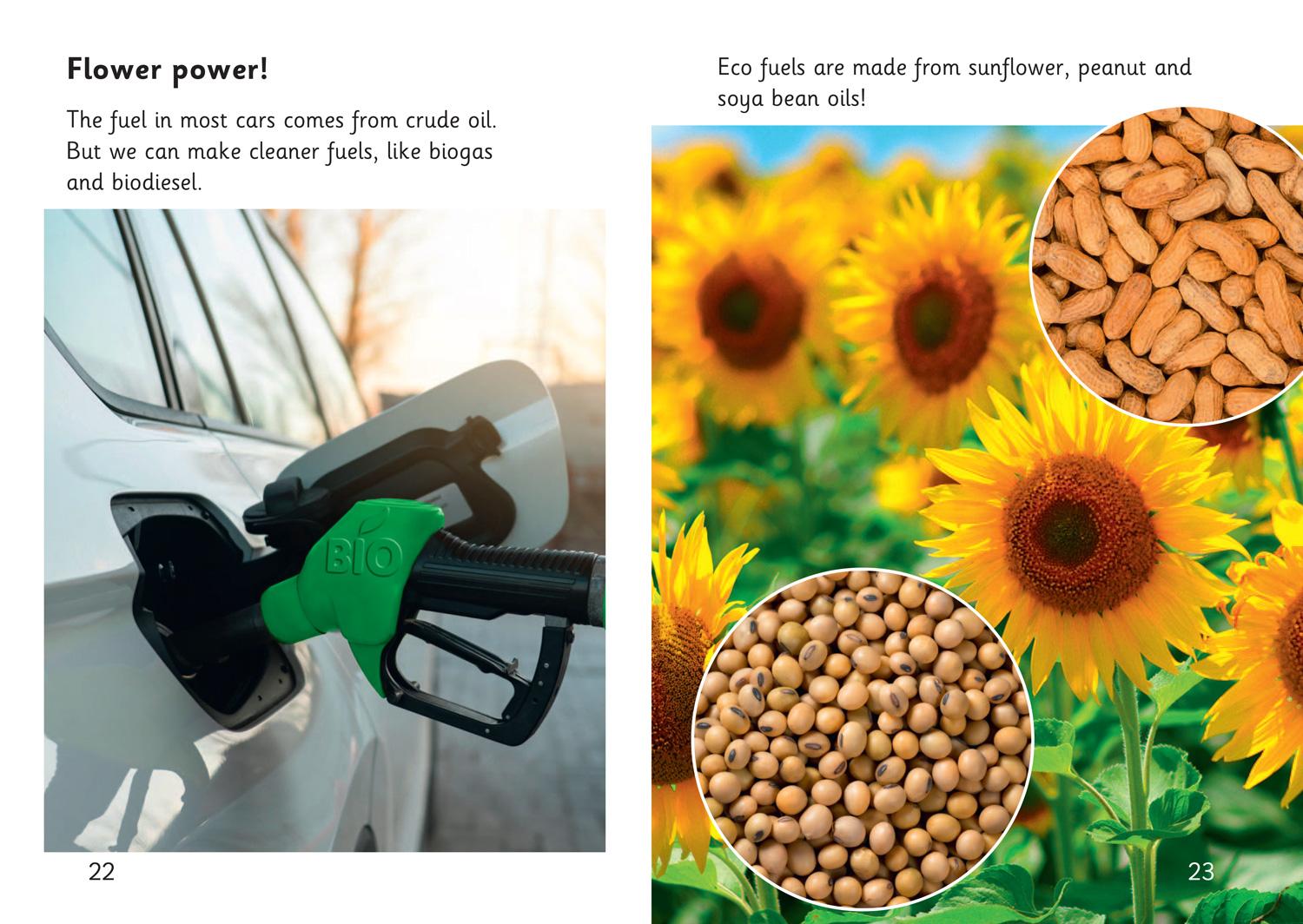 Beispielinhalt (Bild) Investigate Green Power