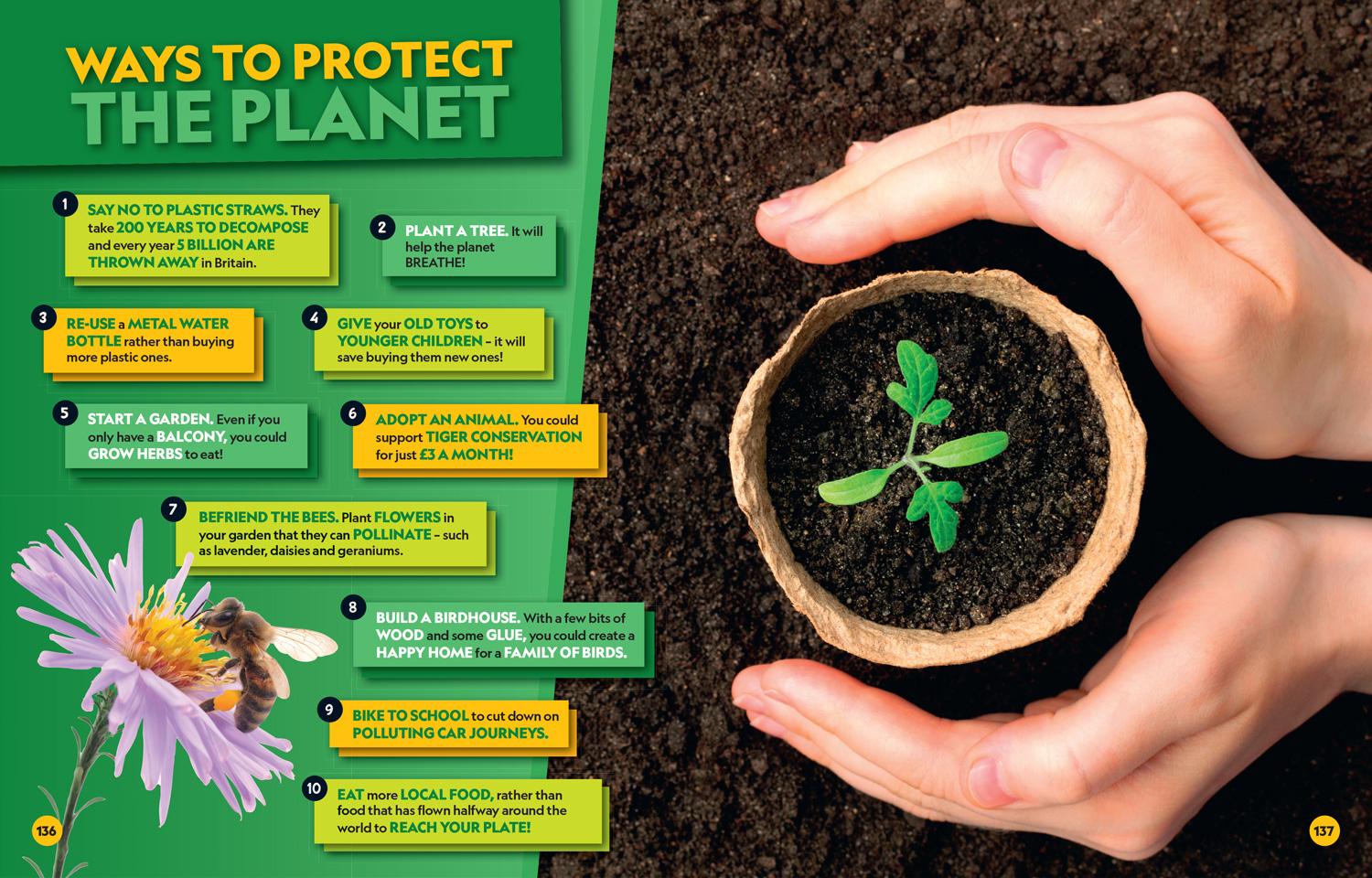 Beispielinhalt (Bild) Top Tens