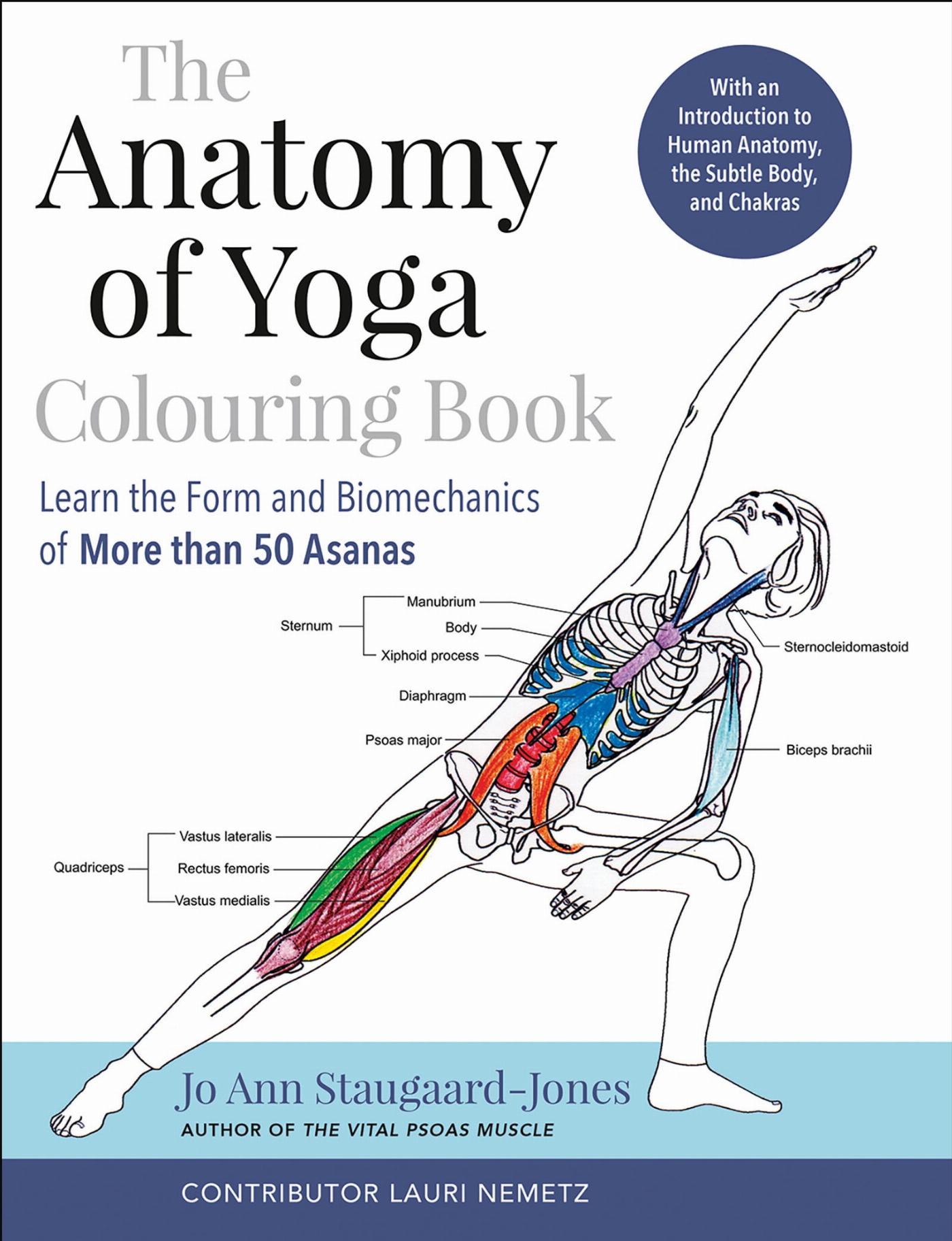 Vorderes Coverbild The Anatomy of Yoga Colouring Book
