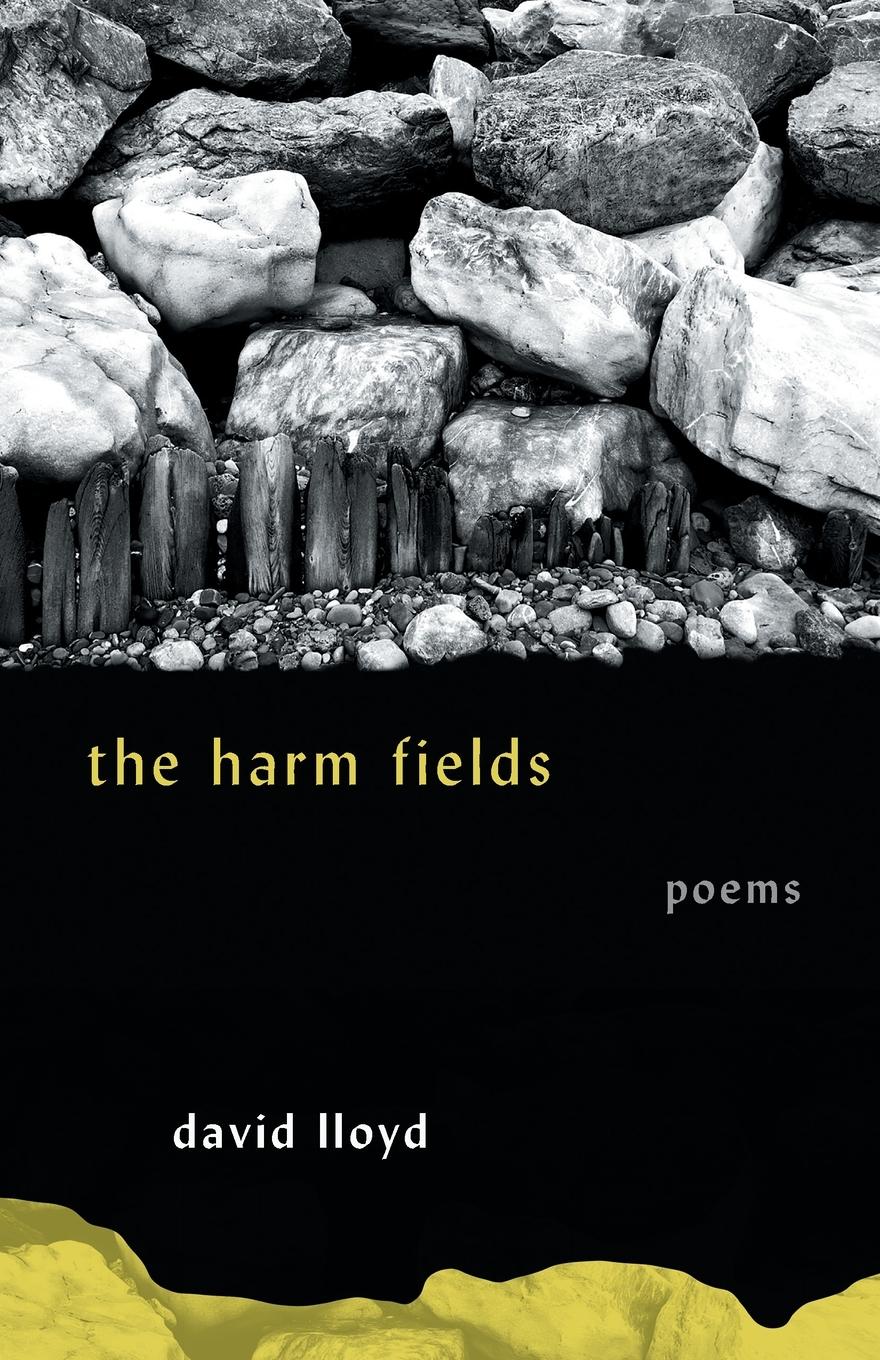 Vorderes Coverbild The Harm Fields