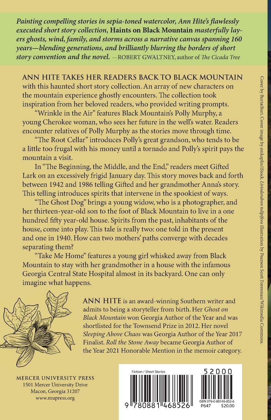 Rückseitencover Haints on Black Mountain