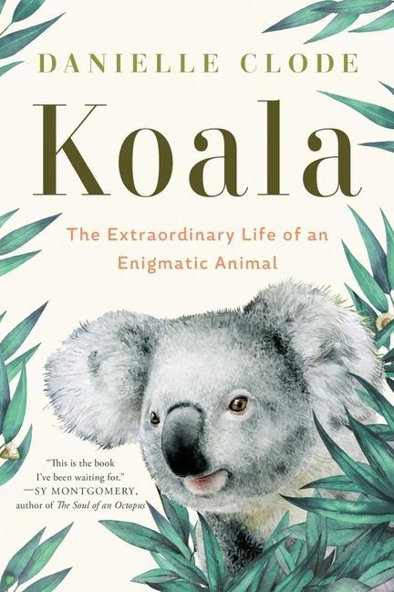 Vorderes Coverbild Koala