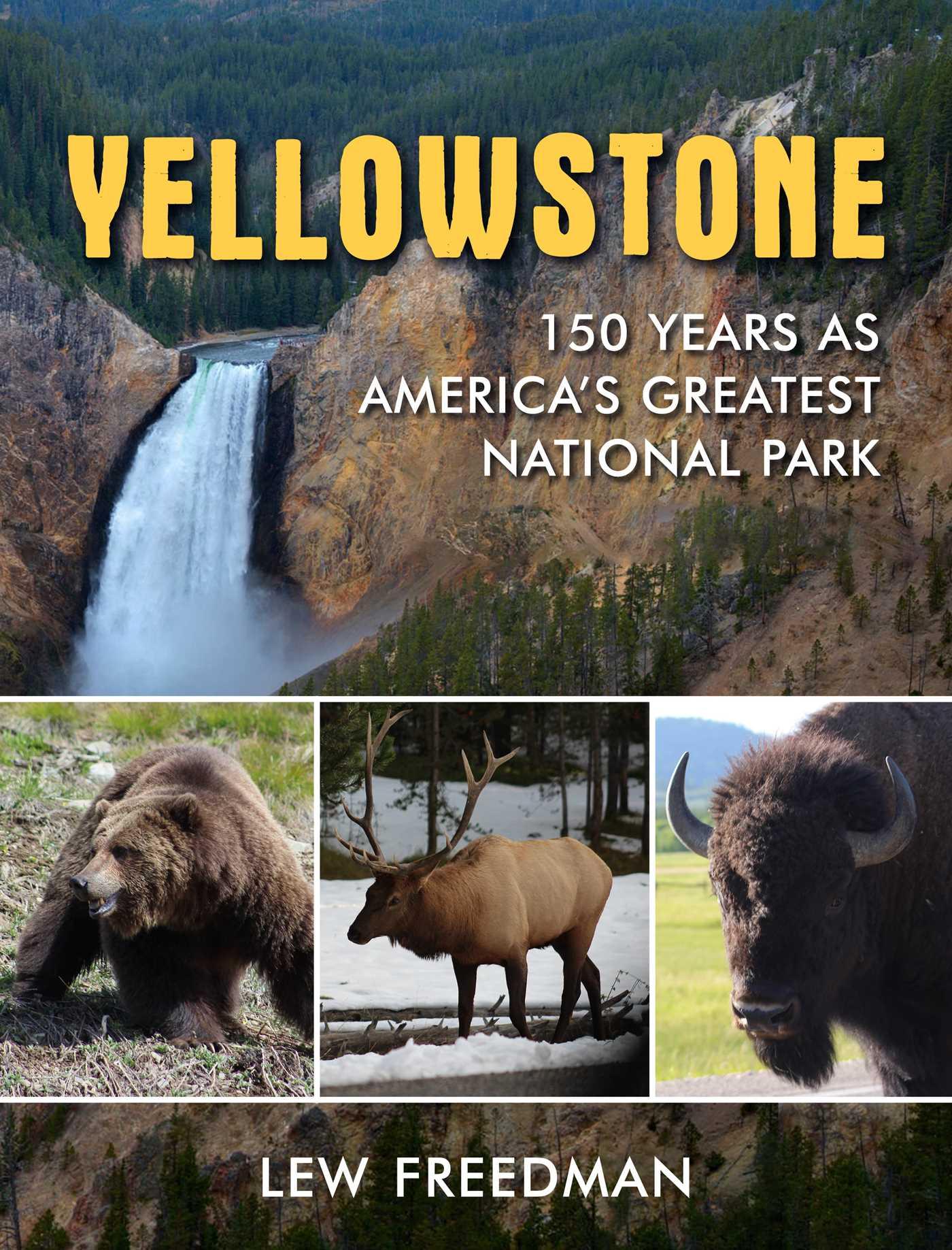 Vorderes Coverbild Yellowstone
