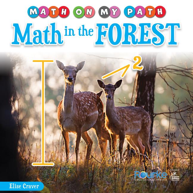 Vorderes Coverbild Math in the Forest