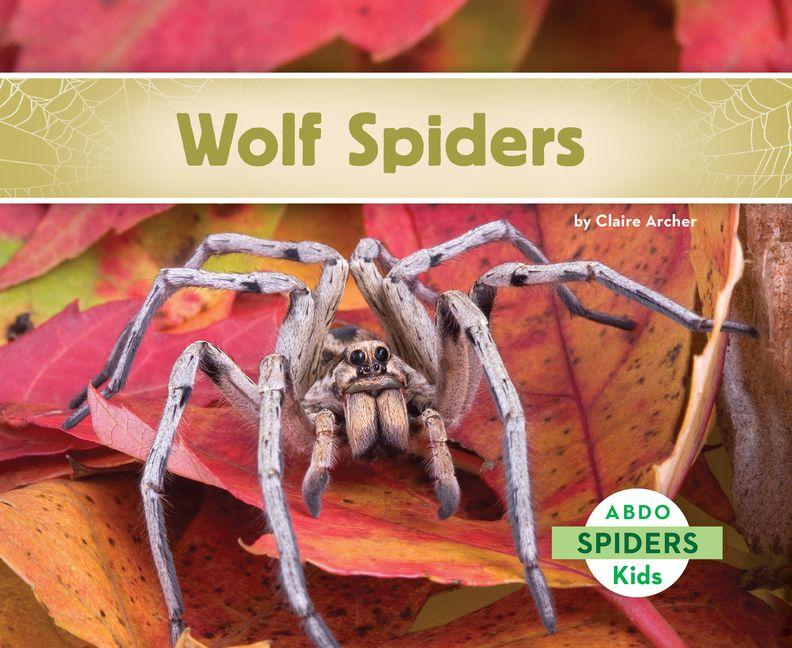 Vorderes Coverbild Wolf Spiders